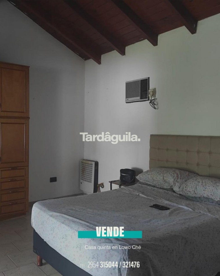 Vende sobre Cardenal Amarillo 