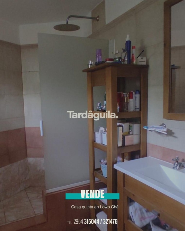 Vende sobre Cardenal Amarillo 