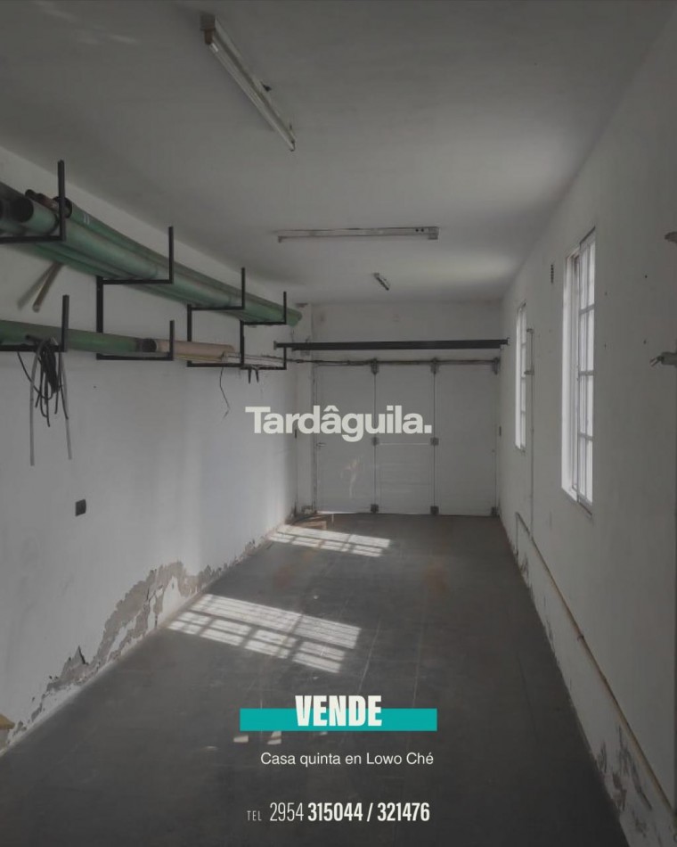 Vende sobre Cardenal Amarillo 