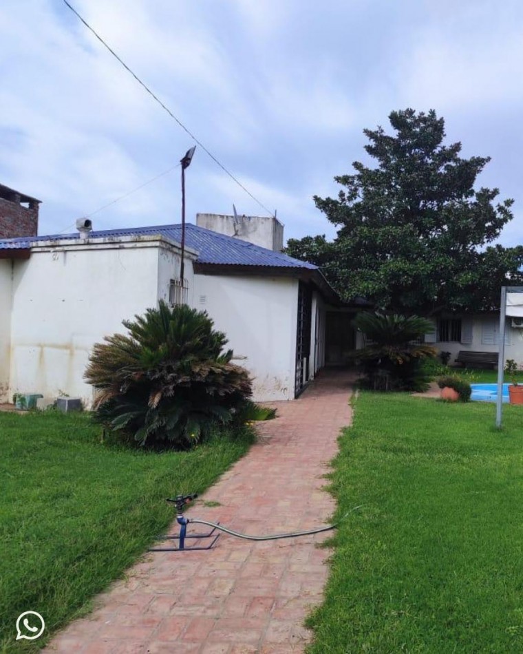 Vende sobre Cardenal Amarillo 