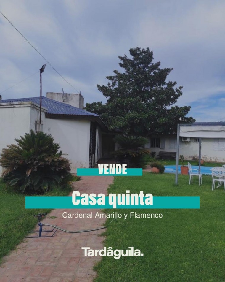 Vende sobre Cardenal Amarillo 