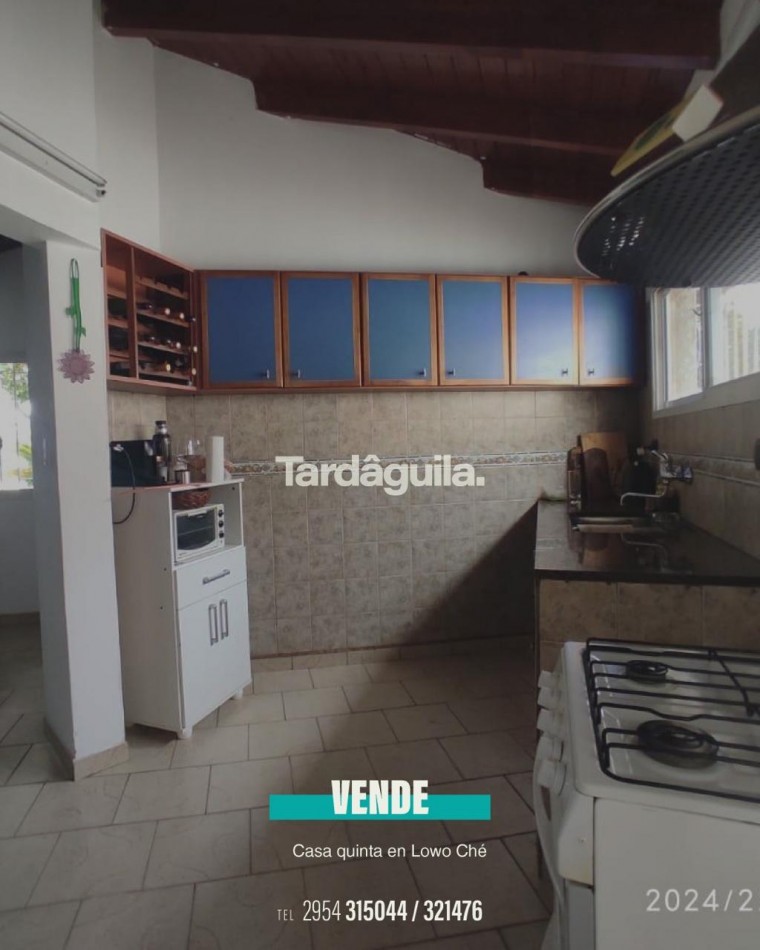 Vende sobre Cardenal Amarillo 