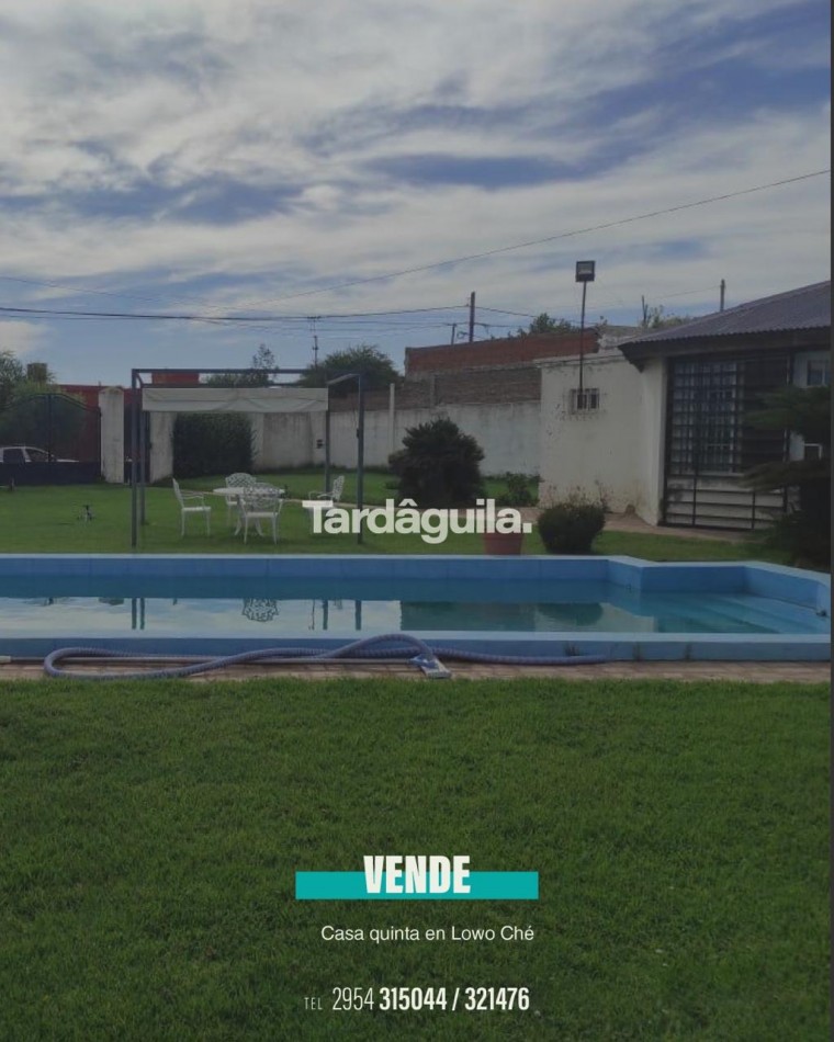 Vende sobre Cardenal Amarillo 