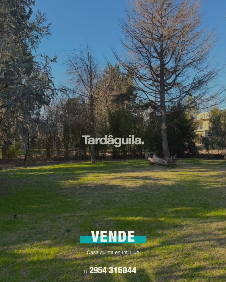 QUINTA EN VENTA