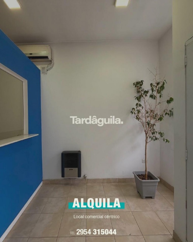 Local Comercial en ALQUILER