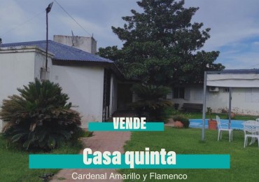 Vende sobre Cardenal Amarillo 